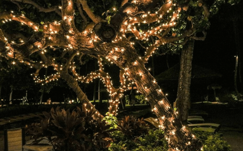 Árbol de Navidad: ¿cuántas luces cuáles necesita?